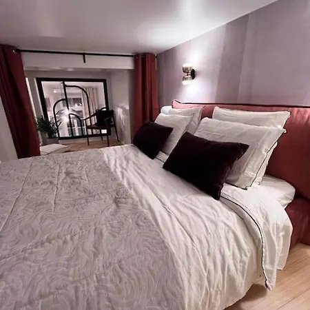 Le Fournil-luxueux Duplex En Petite France Apartment *