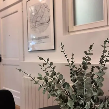 Le Fournil-luxueux Duplex En Petite France Apartment