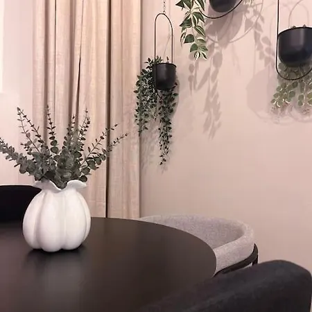 Apartment Le Fournil-luxueux Duplex En Petite France Straßburg