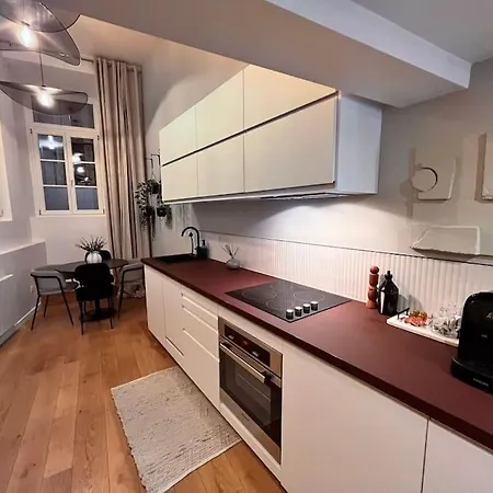 Le Fournil-luxueux Duplex En Petite France *