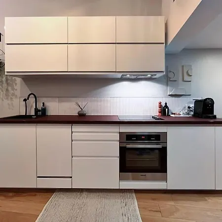 Le Fournil-luxueux Duplex En Petite France *